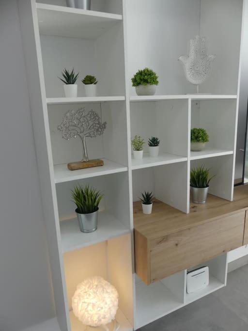 19 Piso Centrico, Nuevo Y Bien Equipado En La Trinidad Apartment La Laguna  Ngoại thất bức ảnh